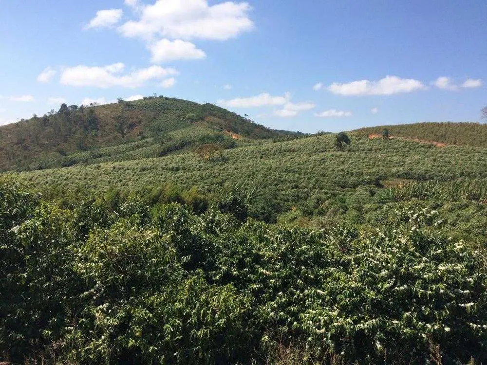 Fazenda, 250 hectares - Foto 2