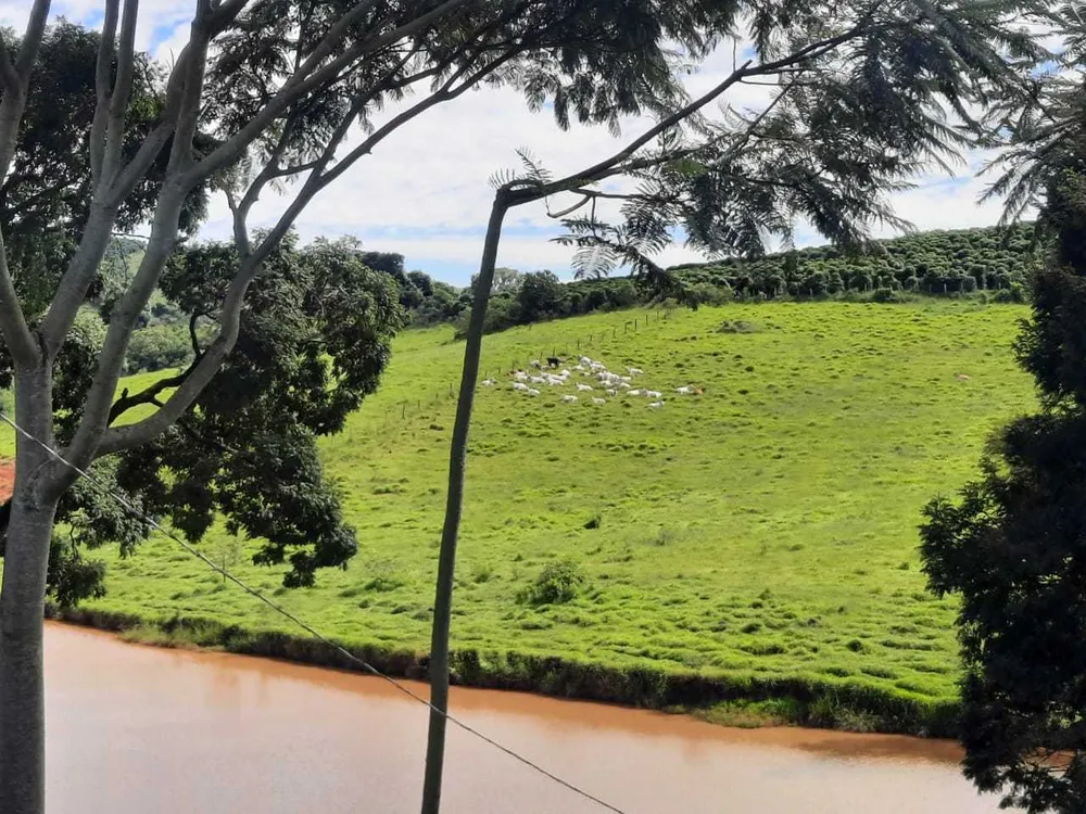 Fazenda, 250 hectares - Foto 10