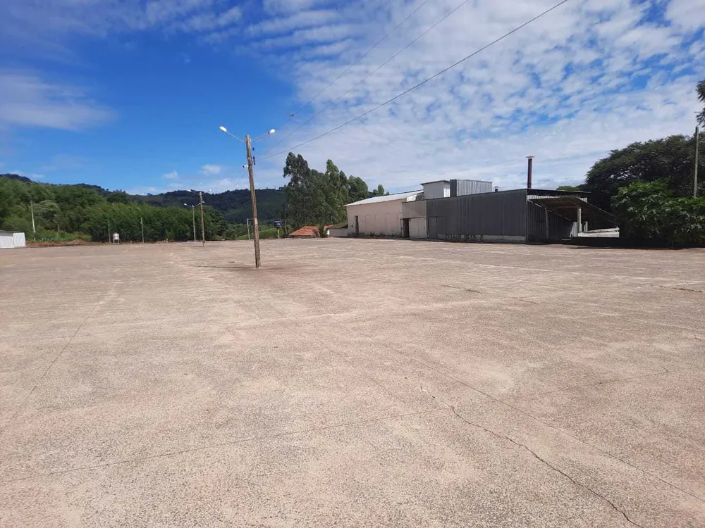 Fazenda, 250 hectares - Foto 22