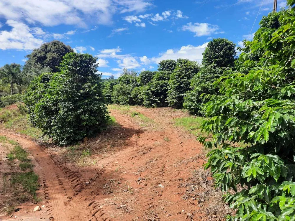 Fazenda, 250 hectares - Foto 6