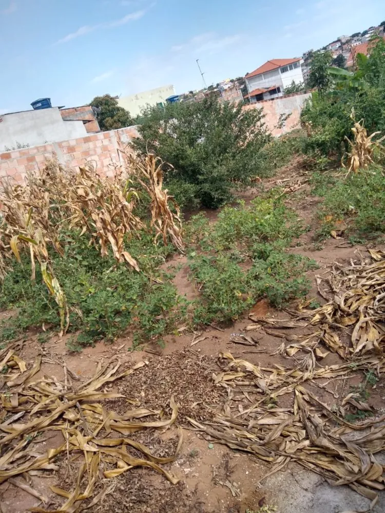 Terreno, 360 m² - Foto 10