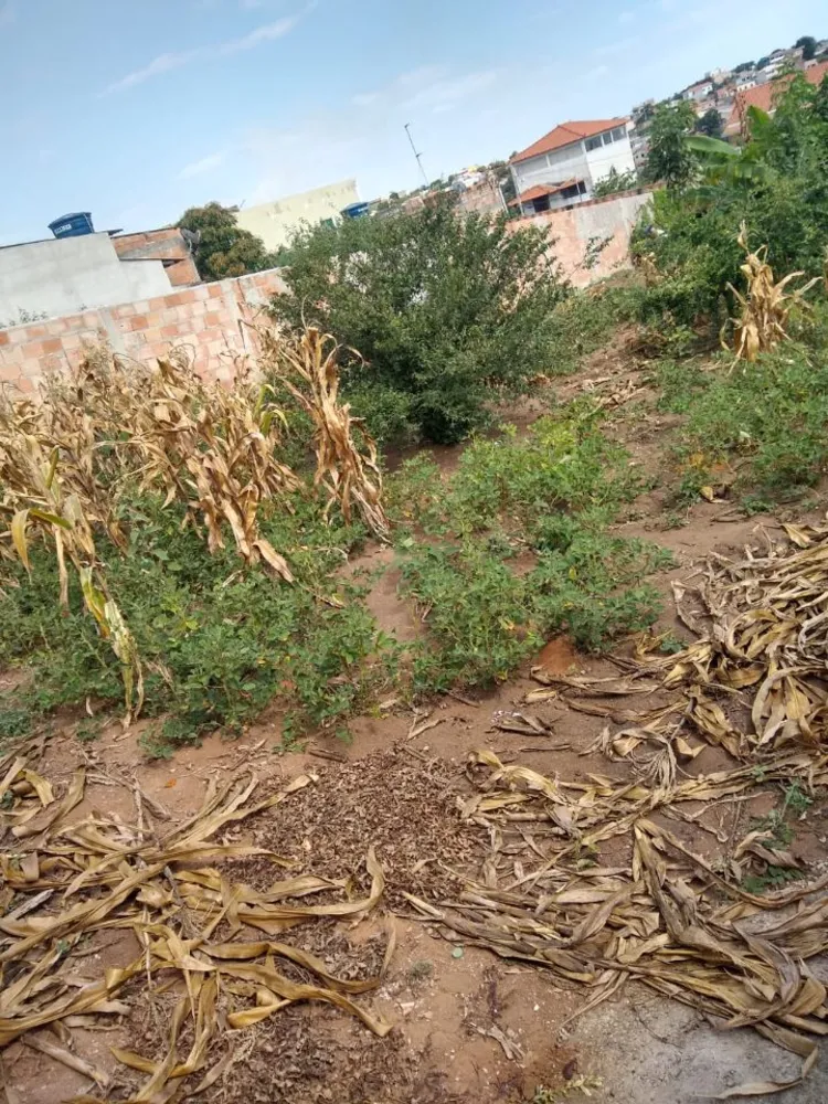 Terreno, 360 m² - Foto 2