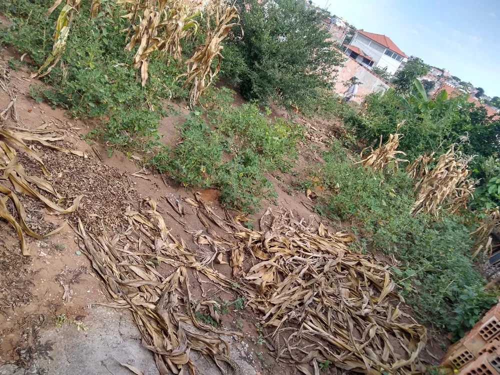 Terreno, 360 m² - Foto 1