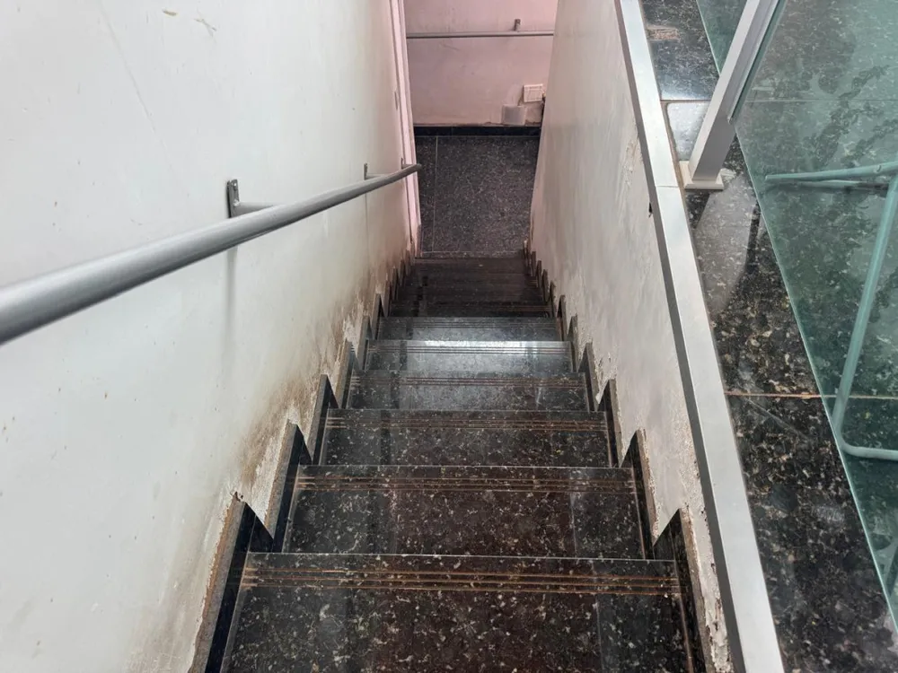 Casa, 3 quartos, 580 m² - Foto 14
