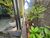 Casa, 5 quartos, 360 m² - Foto 6
