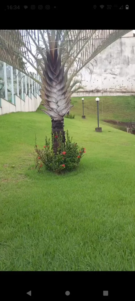 Apartamento, 3 quartos, 86 m² - Foto 16