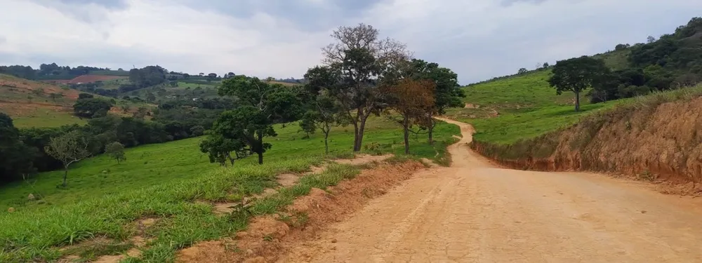 Fazenda, 250 hectares - Foto 4