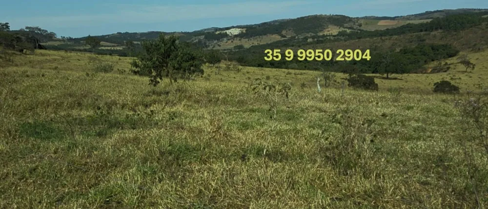 Fazenda, 250 hectares - Foto 24