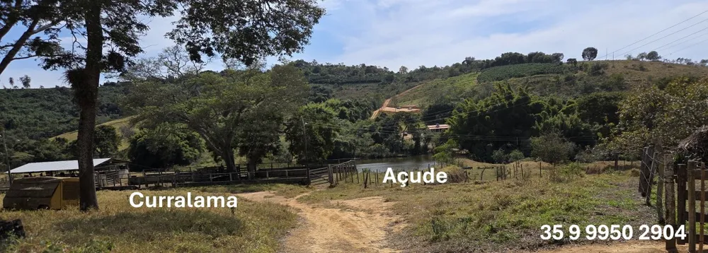 Fazenda, 250 hectares - Foto 14