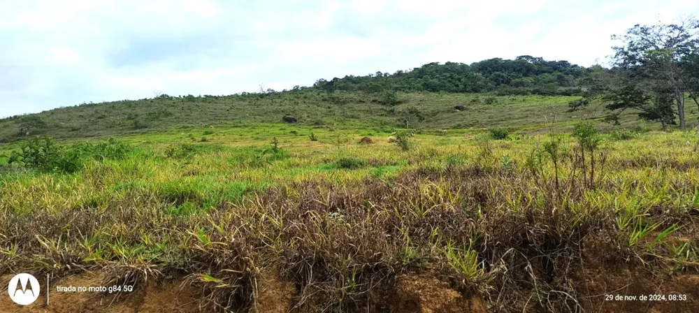 Fazenda, 250 hectares - Foto 6