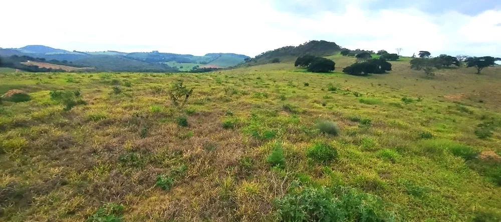 Fazenda, 250 hectares - Foto 1