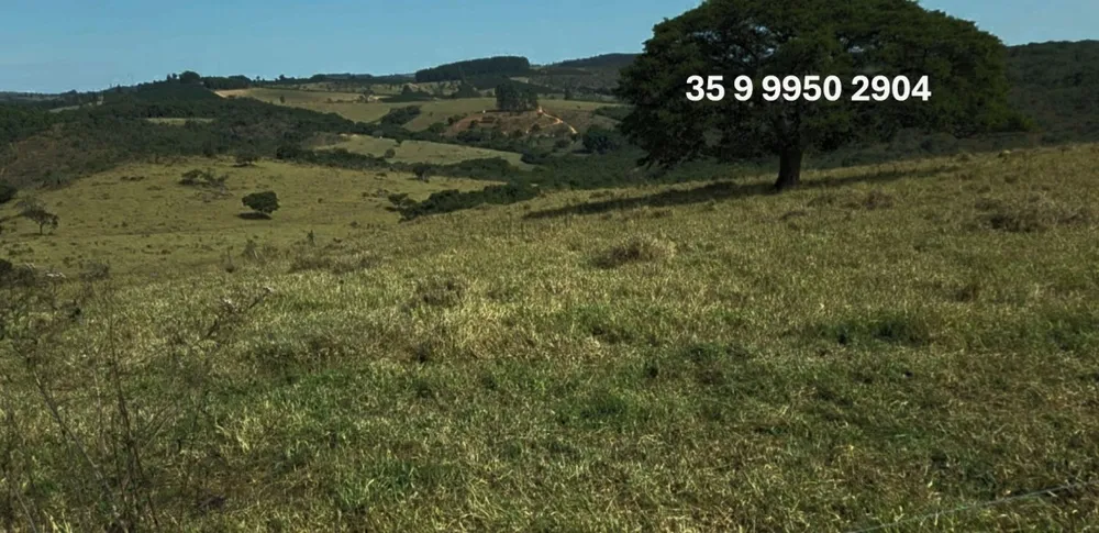 Fazenda, 250 hectares - Foto 21