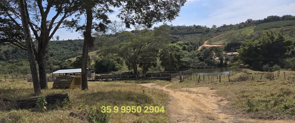 Fazenda, 250 hectares - Foto 11