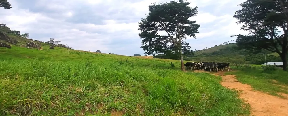 Fazenda, 250 hectares - Foto 17