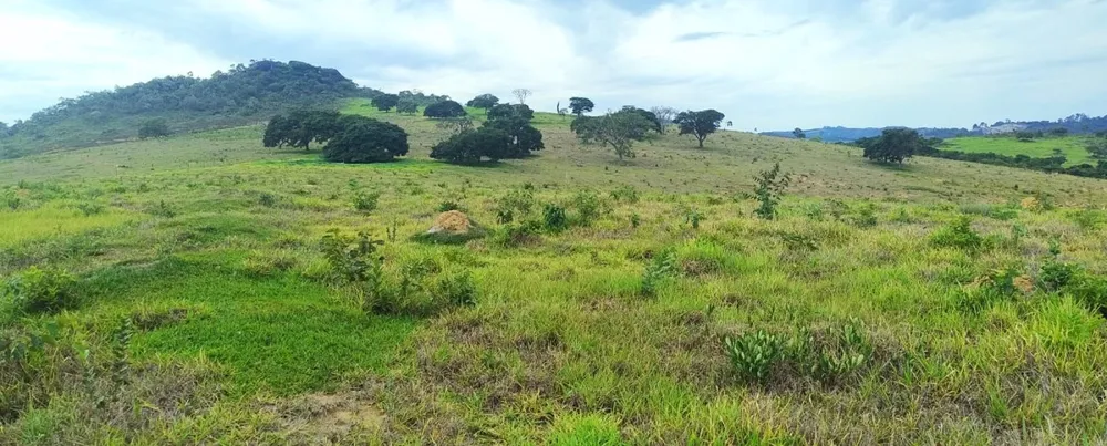 Fazenda, 250 hectares - Foto 20