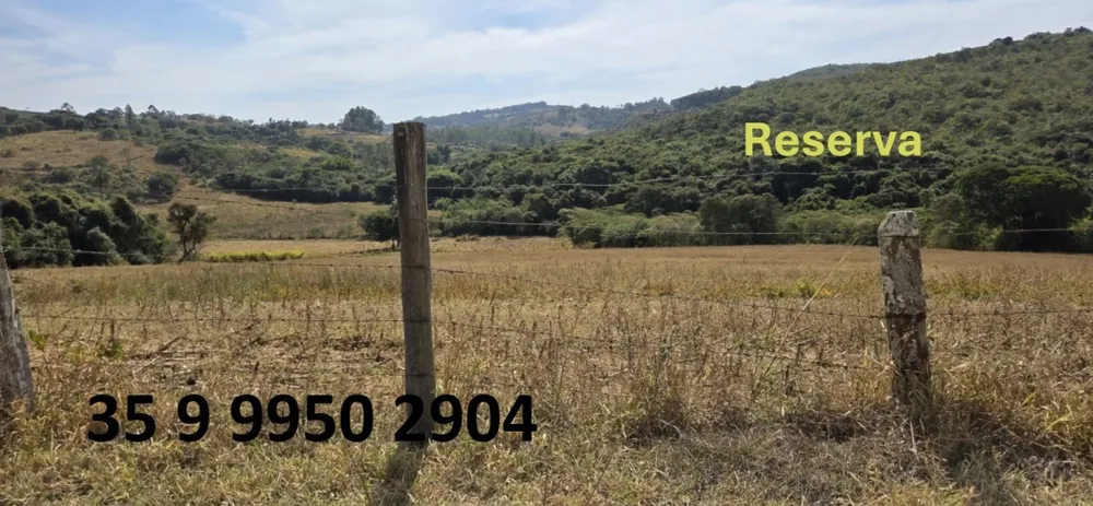 Fazenda, 250 hectares - Foto 4