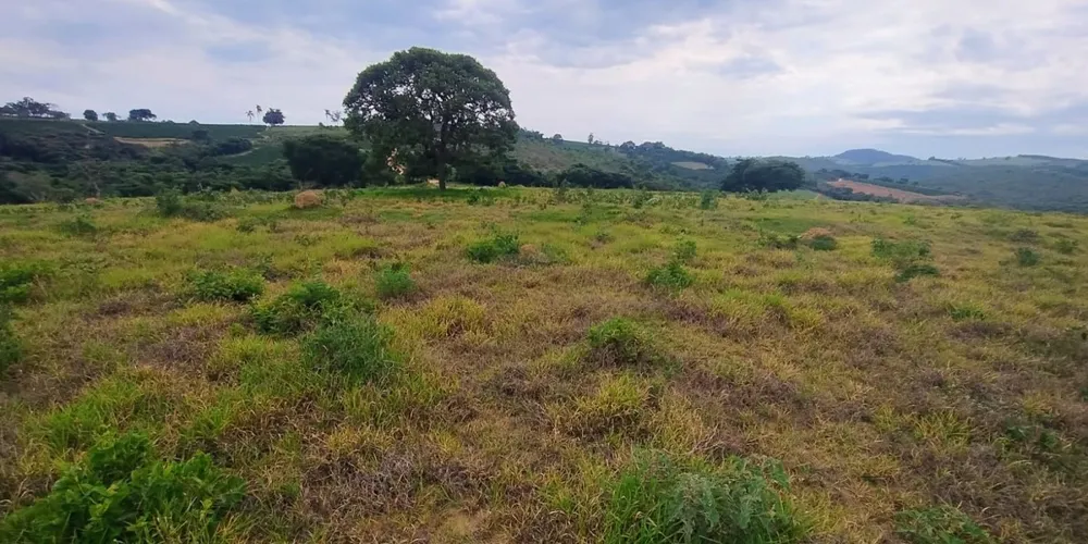 Fazenda, 250 hectares - Foto 9
