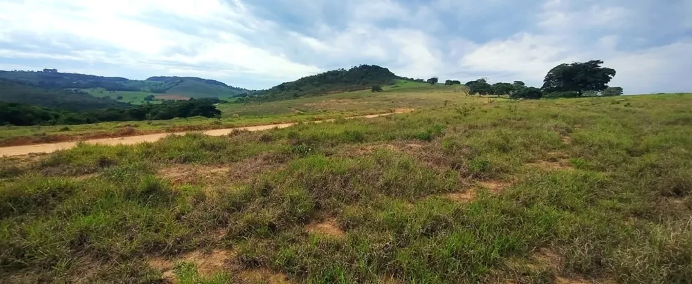Fazenda, 250 hectares - Foto 12