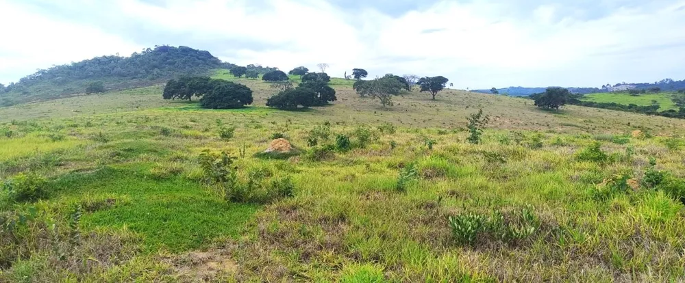 Fazenda, 250 hectares - Foto 23