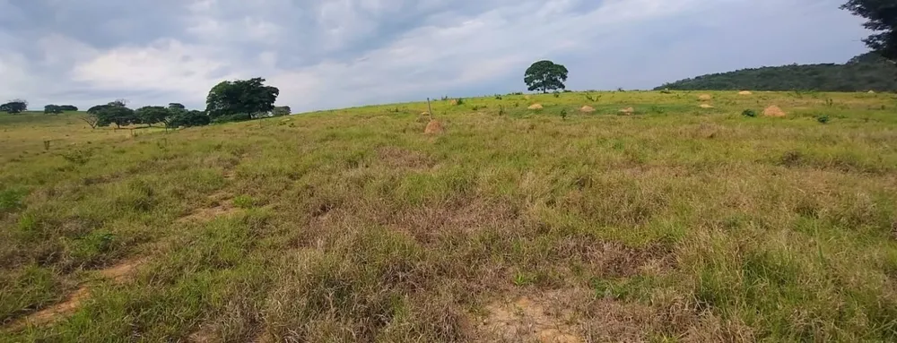 Fazenda, 250 hectares - Foto 7