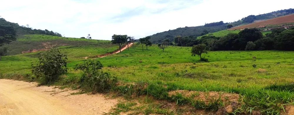 Fazenda, 250 hectares - Foto 10