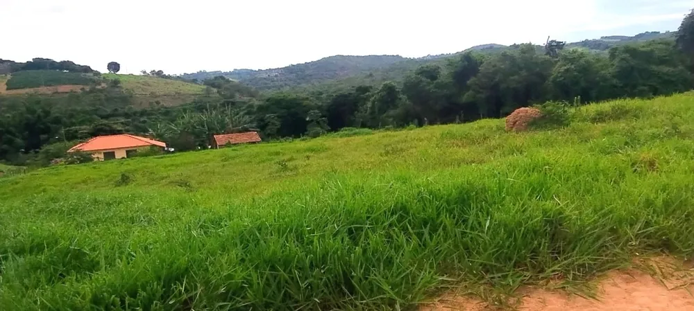 Fazenda, 250 hectares - Foto 12