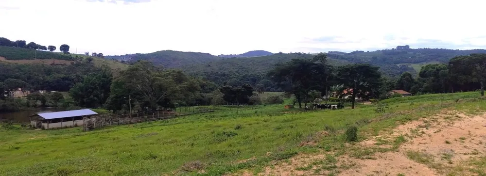 Fazenda, 250 hectares - Foto 7