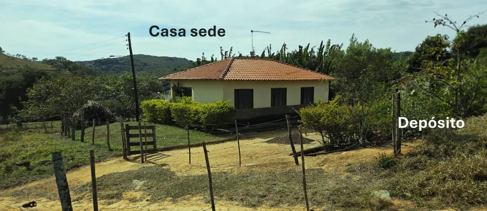 Fazenda, 250 hectares - Foto 2