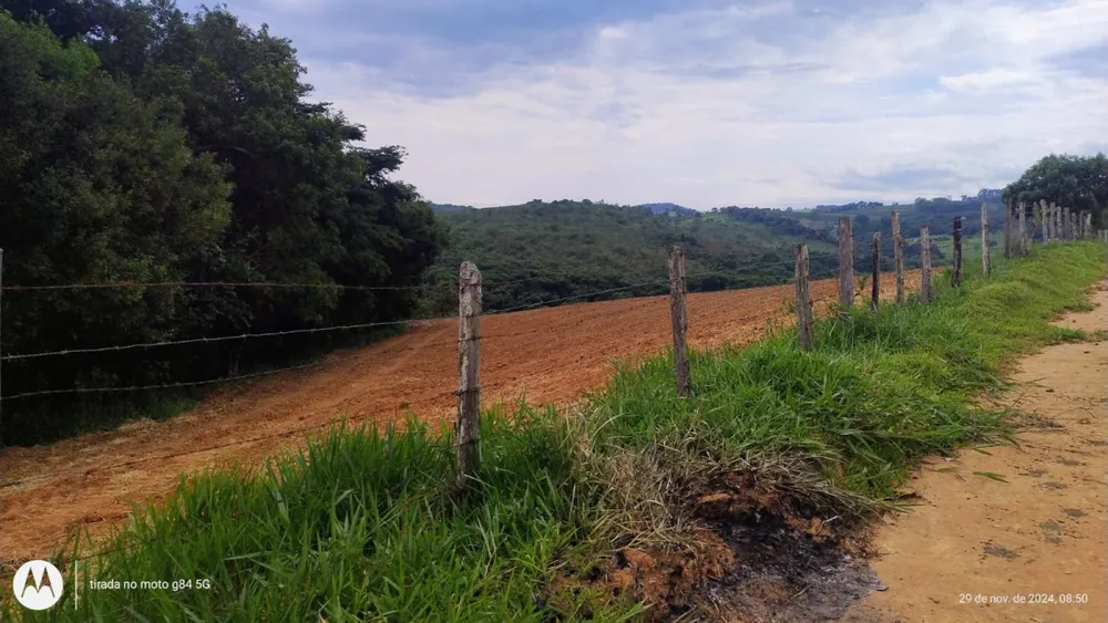 Fazenda, 250 hectares - Foto 6