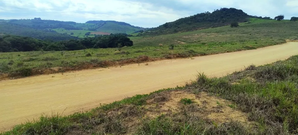 Fazenda, 250 hectares - Foto 9
