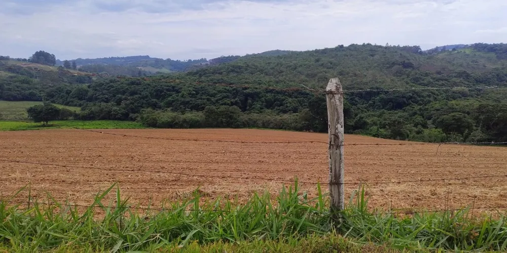 Fazenda, 250 hectares - Foto 10
