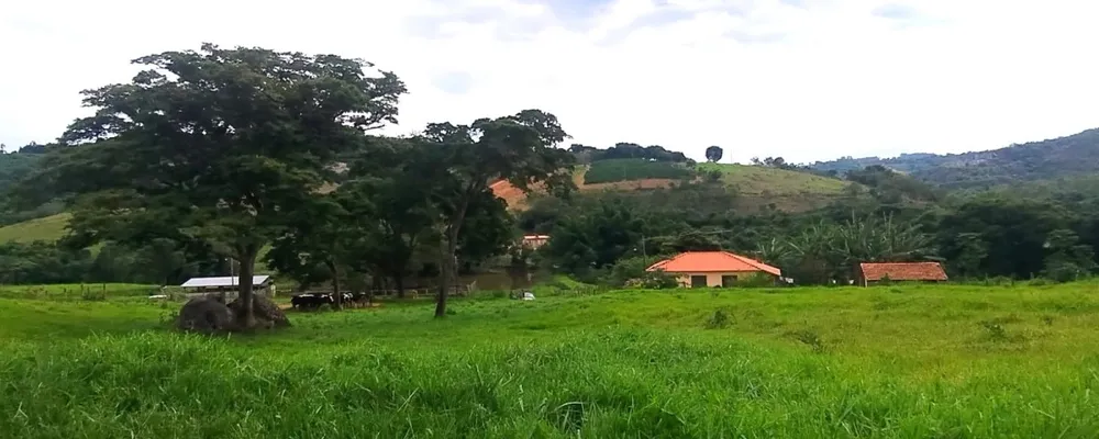 Fazenda, 250 hectares - Foto 19