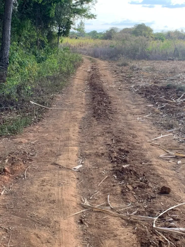 Fazenda, 1 quarto - Foto 23