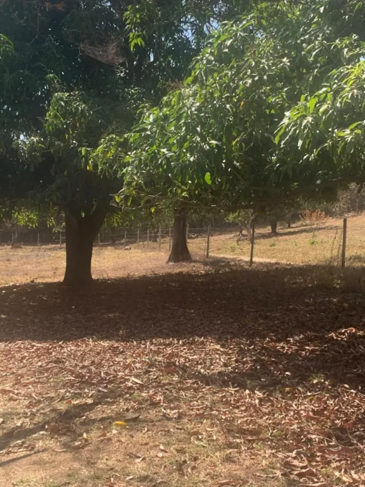 Fazenda, 1 quarto - Foto 20