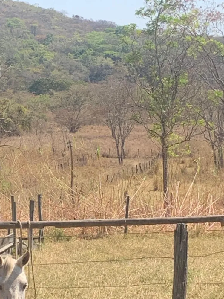 Fazenda, 1 quarto - Foto 24