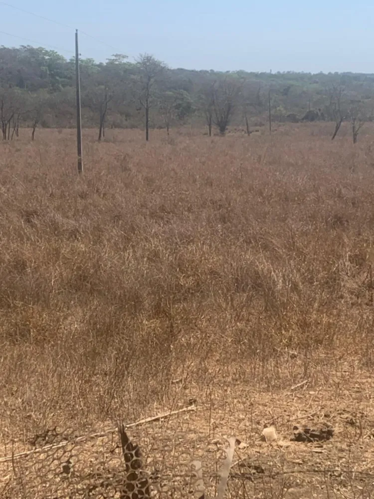 Fazenda, 1 quarto - Foto 11