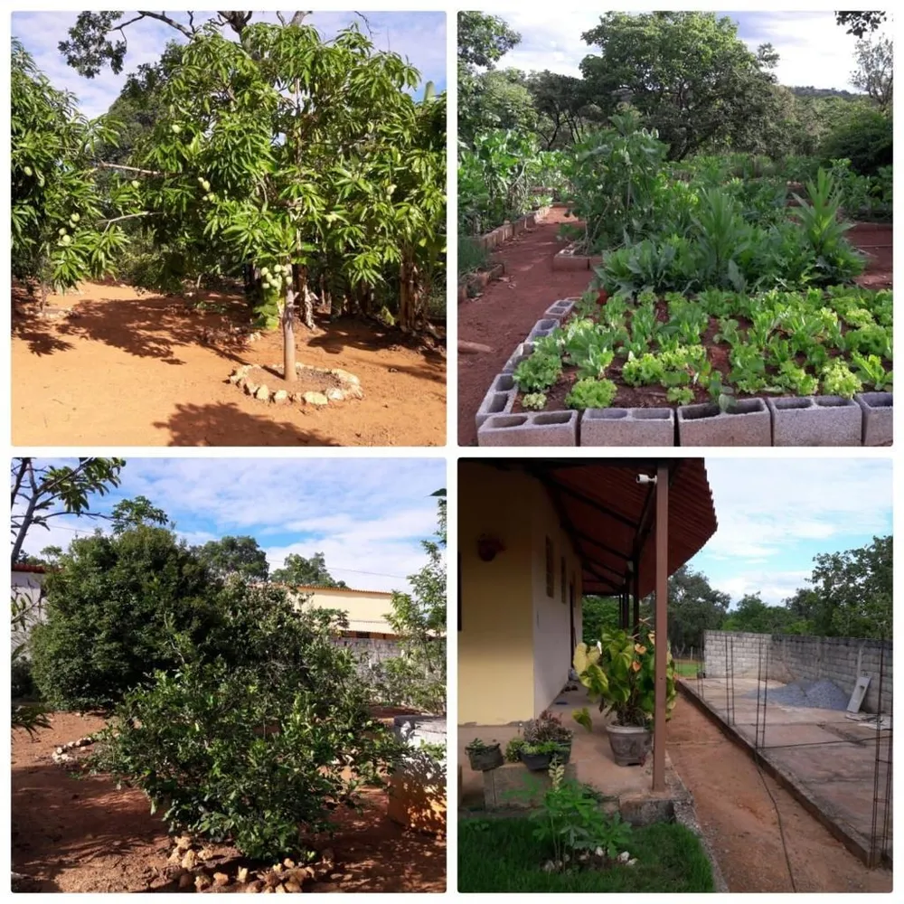 Chácara, 3 quartos - Foto 1