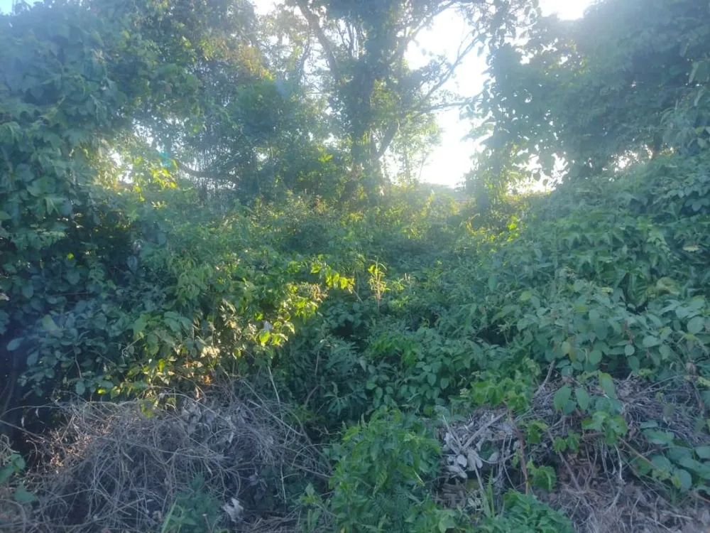 Chácara, 1 quarto - Foto 4
