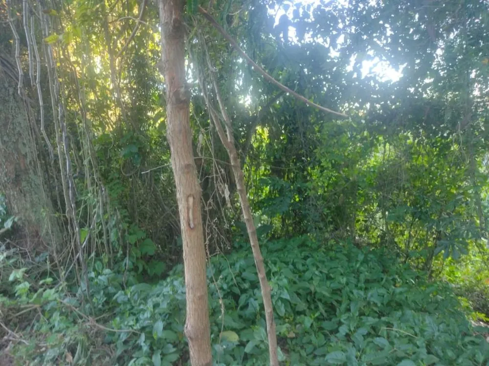 Chácara, 1 quarto - Foto 2