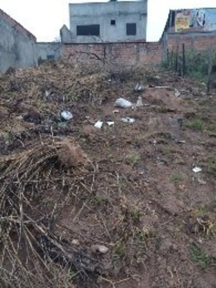 Terreno, 250 m² - Foto 2