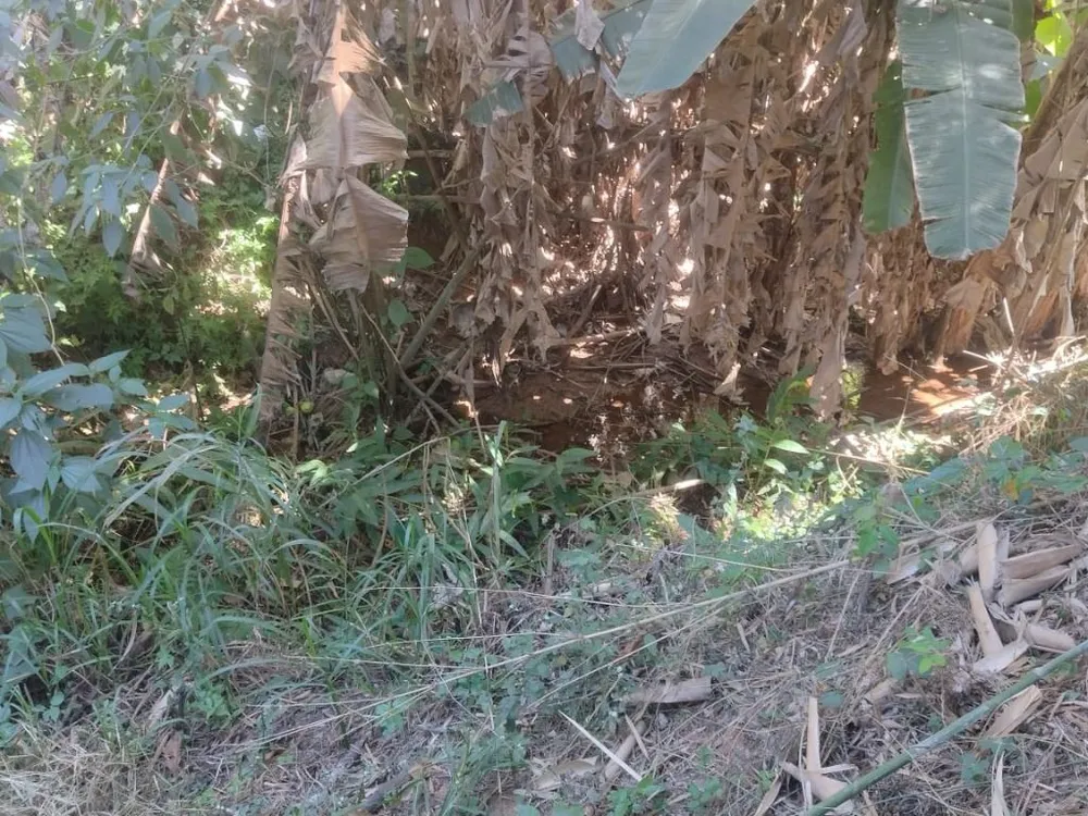 Terreno, 2200 m² - Foto 11
