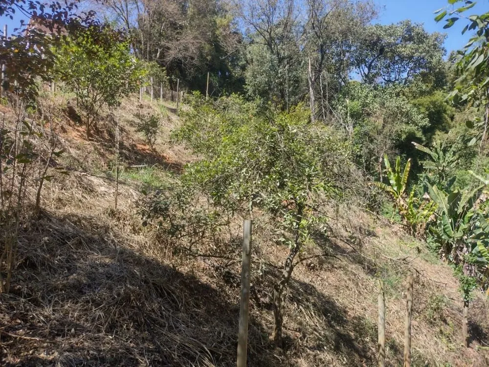 Terreno, 2200 m² - Foto 8