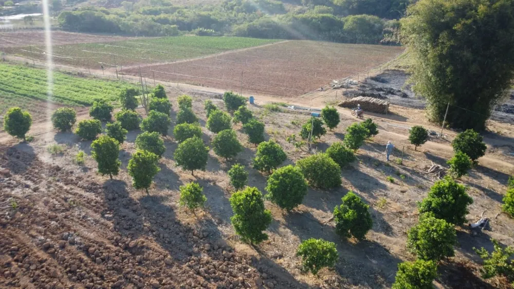 Fazenda, 1 quarto - Foto 7