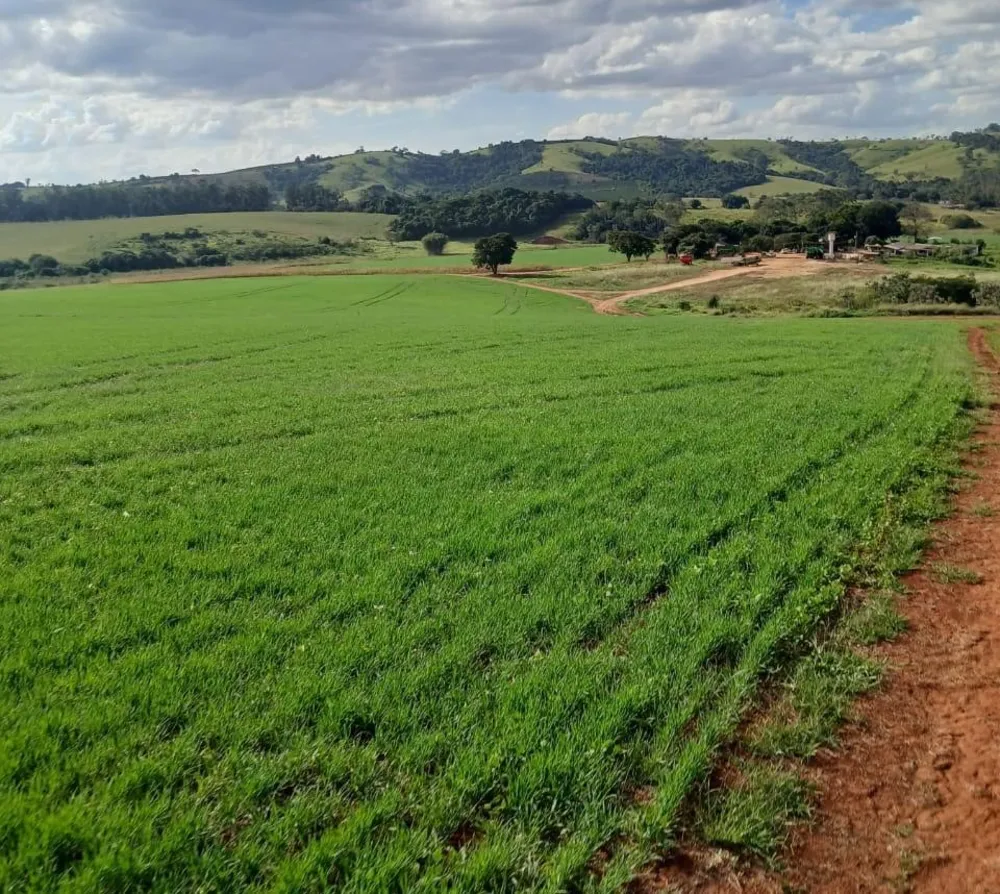 Fazenda, 3 quartos - Foto 2