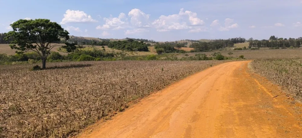 Fazenda, 3 quartos - Foto 9
