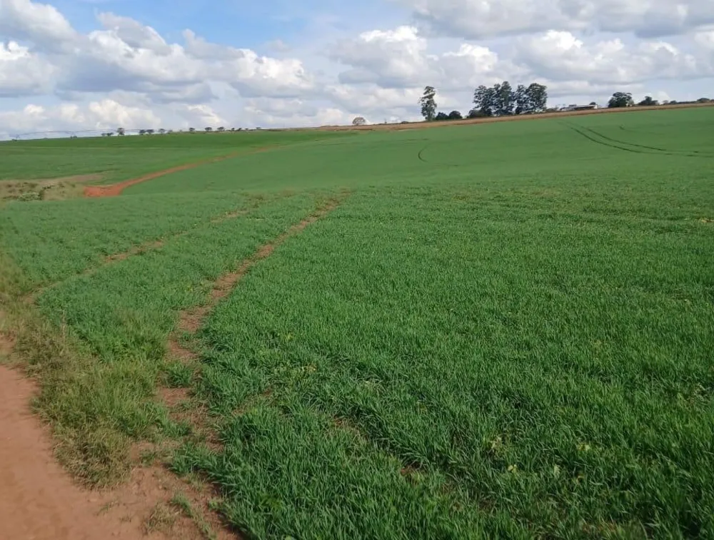 Fazenda, 3 quartos - Foto 4