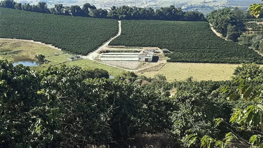 Fazenda, 53 hectares - Foto 2