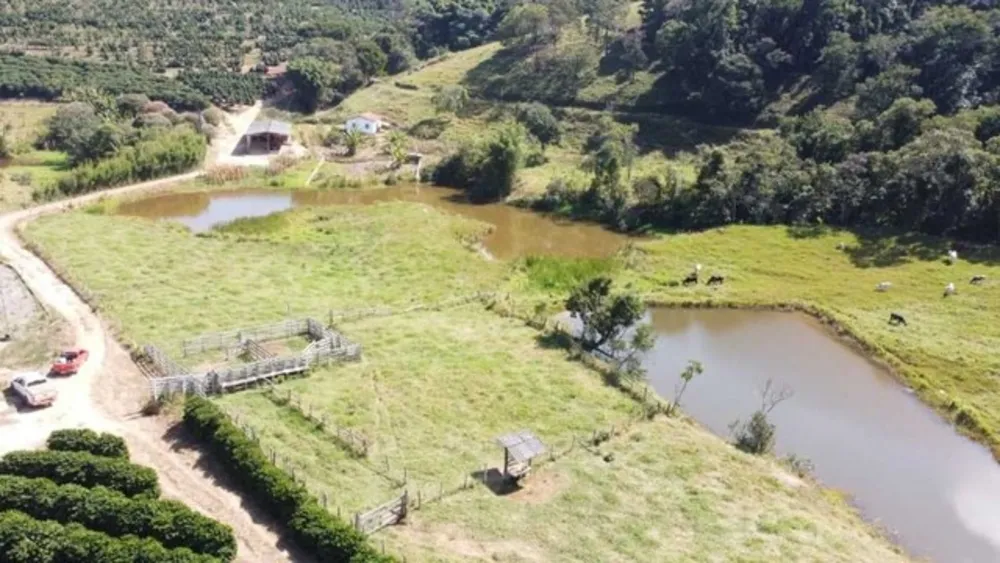Fazenda, 53 hectares - Foto 1