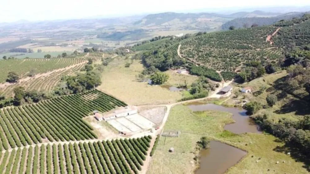 Fazenda, 53 hectares - Foto 3