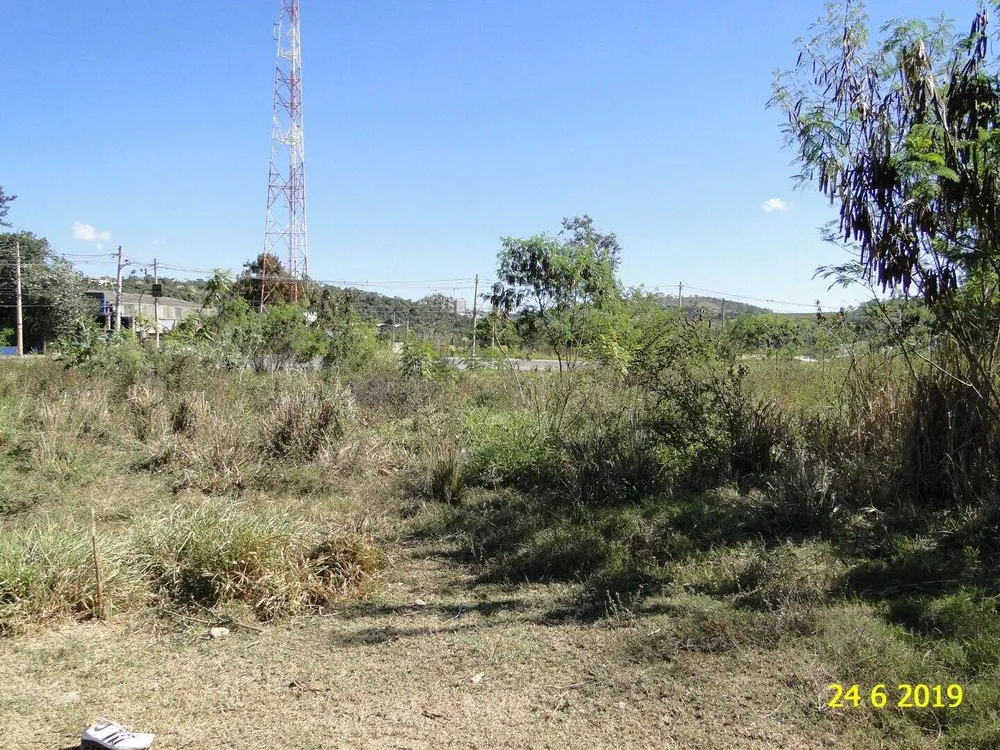 Terreno, 4 hectares - Foto 13